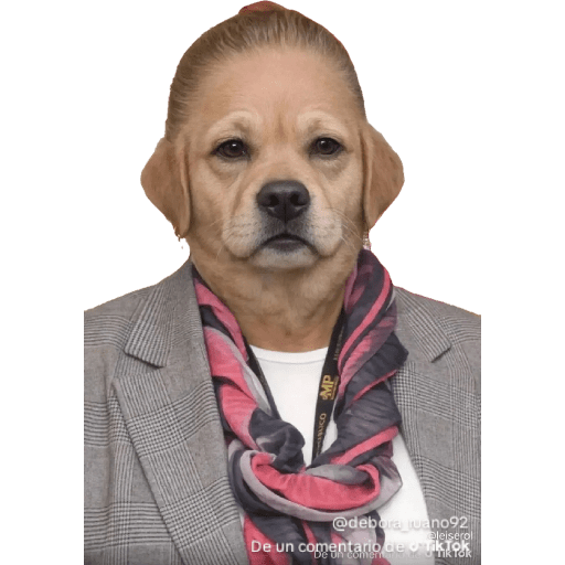 Consuelo perros 1