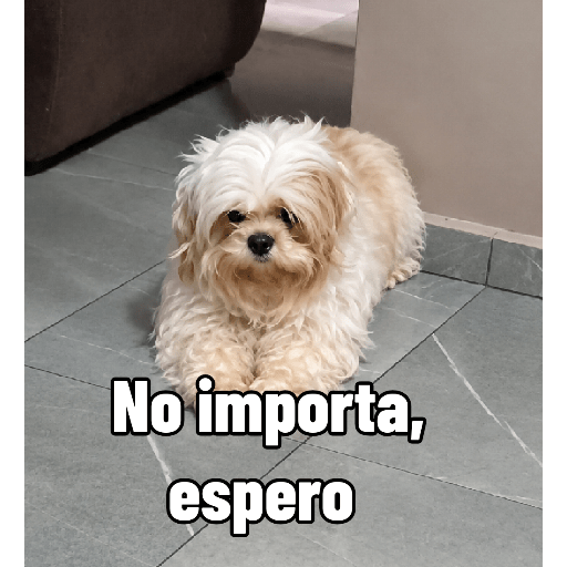 Consuelo perros 2