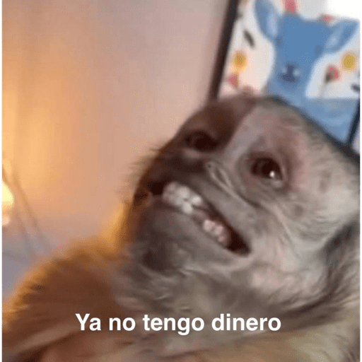 Monkeys 🐒 20
