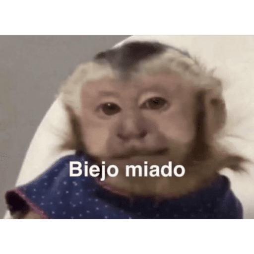 Monkeys 🐒 3