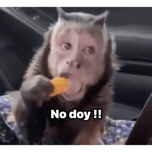 Monkeys 🐒 19