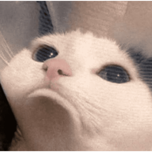 Nxjcjfjfjf 30