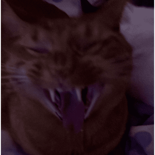 Nxjcjfjfjf 12