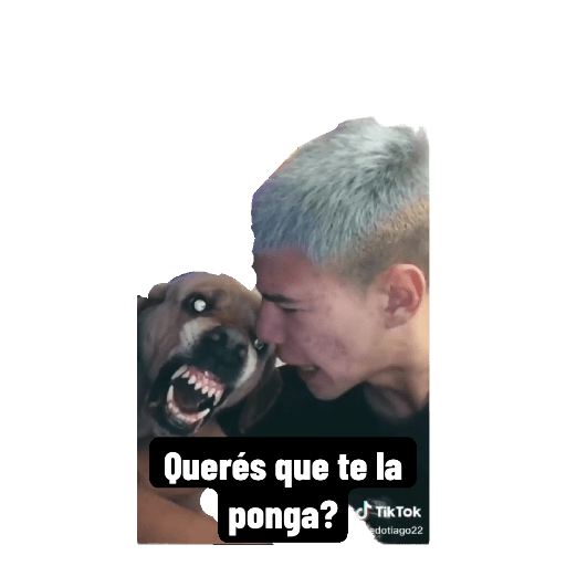Stickersdicen.ok 11