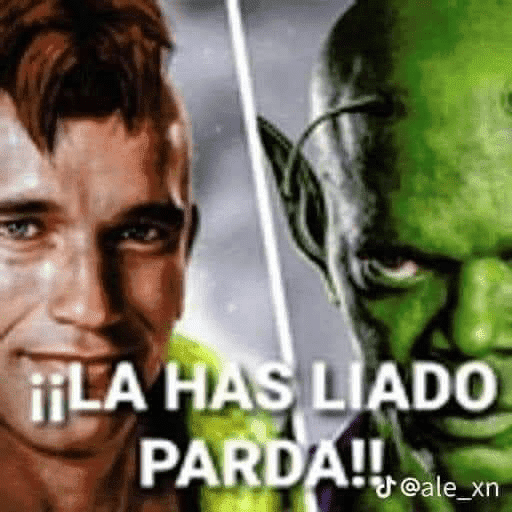 Made in Argentina 5 (Ijole) 12