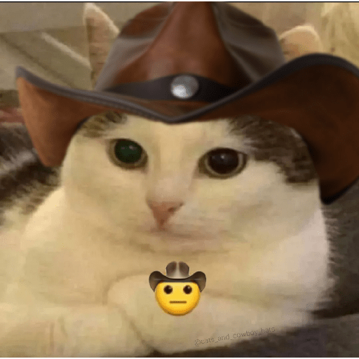 Gatos 1