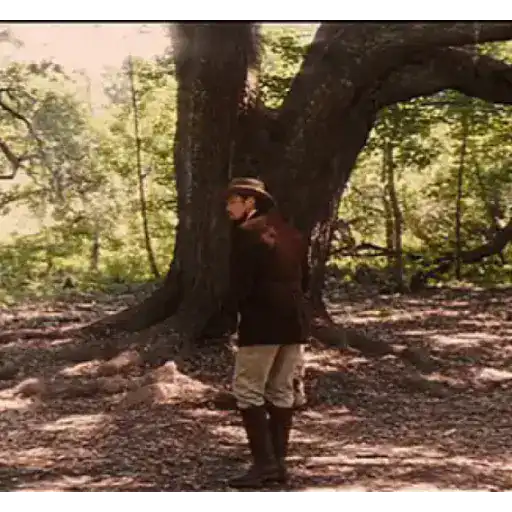 Movies #01 5