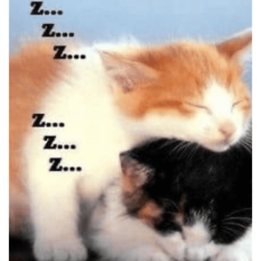 Gatitos ^_^ 9