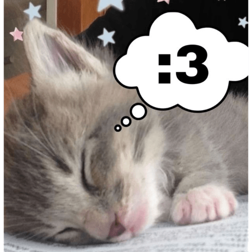 Gatitos ^_^ 6