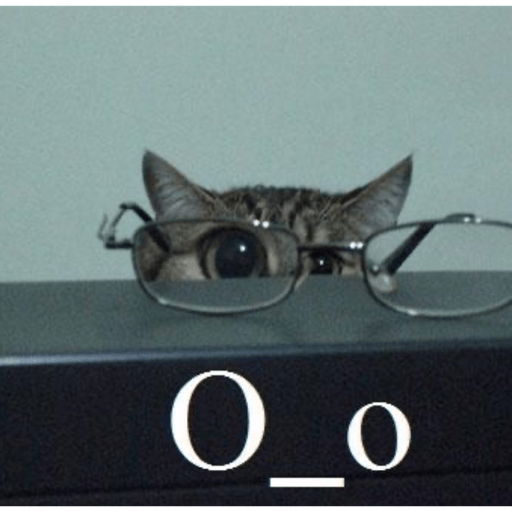 Gatitos ^_^ 1