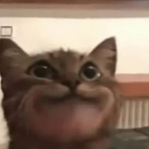 Yu_da_duda 9
