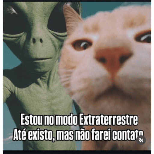 Vida 3