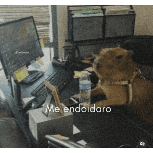 Vida 5