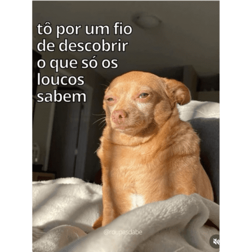 Vida 1