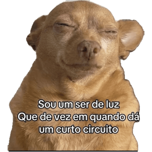 Vida 4