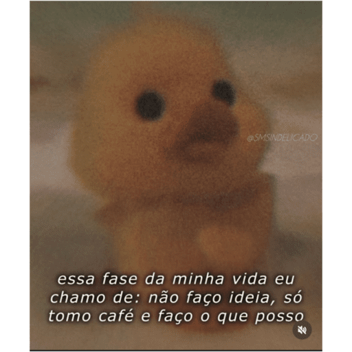 Vida 6