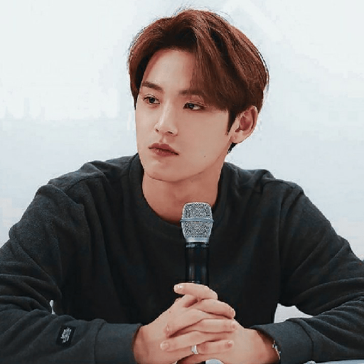 Mingyu 12