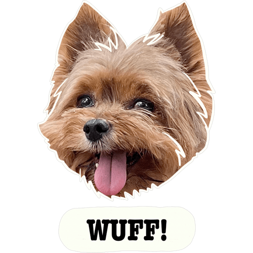 Sticker Image