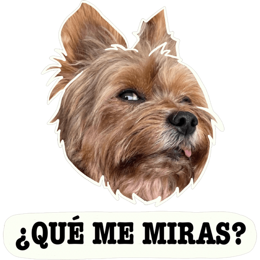 Sticker Image