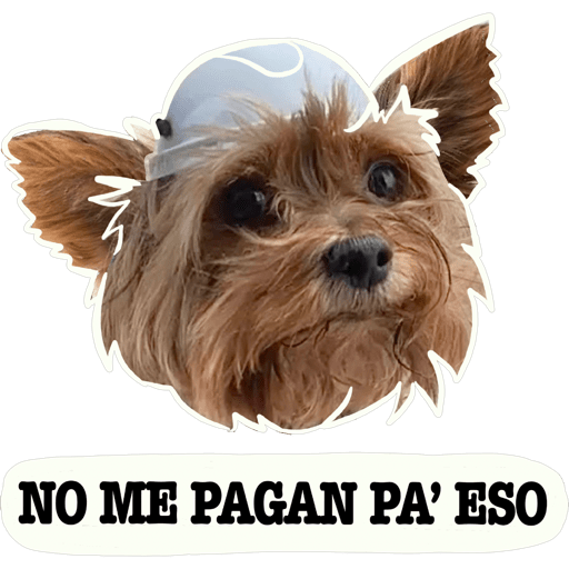 Sticker Image