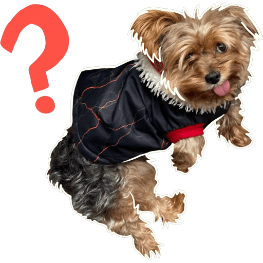 Sticker Image