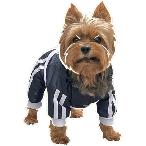 Sticker Image
