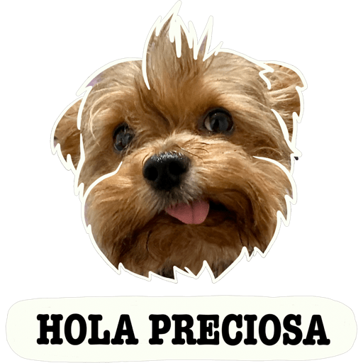 Sticker Image
