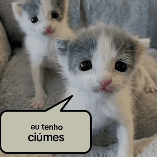 Bichinhos 8 5