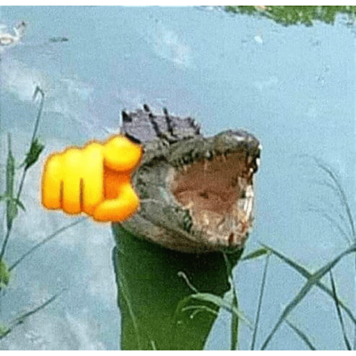 Bichinhos 8 2