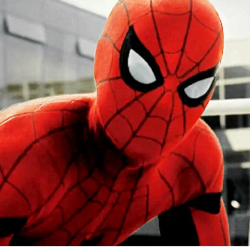 Peter Parker 19