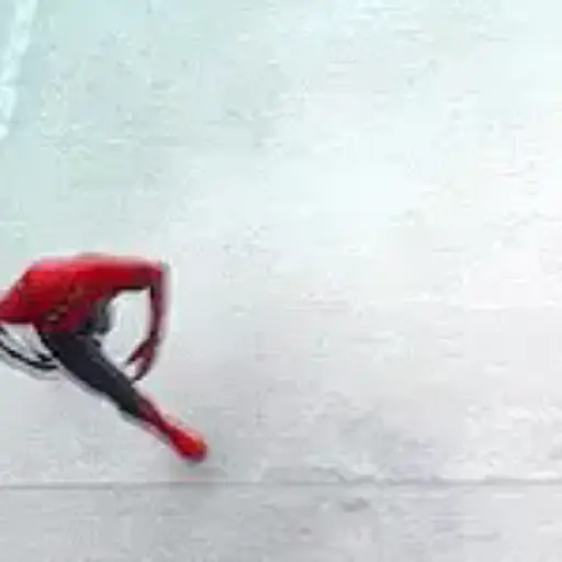 Peter Parker 22