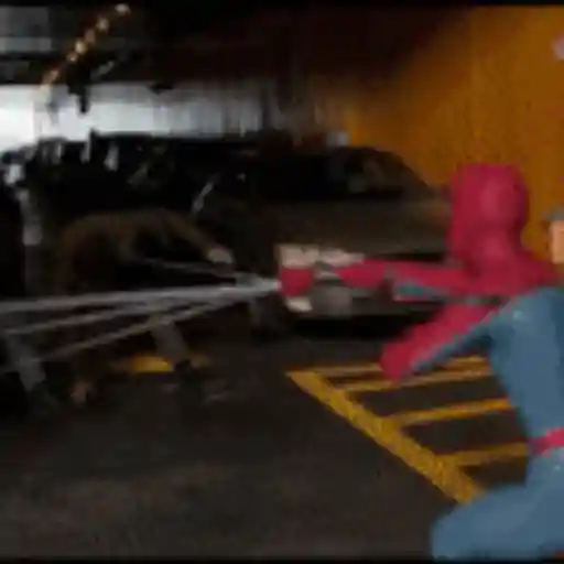 Peter Parker 13