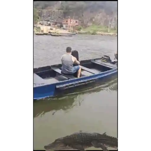 Videos uelito 7