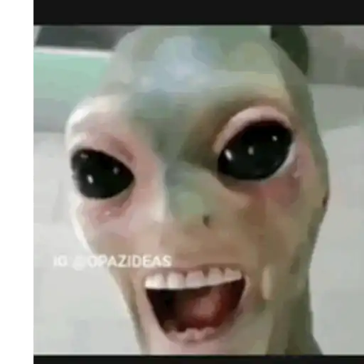 Videos uelito 5