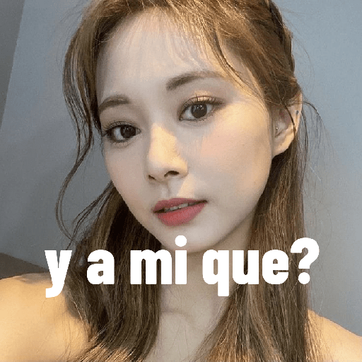 Tzuyu stickers ⋆⁺˖⸙̭❛◌*̥₊ 1