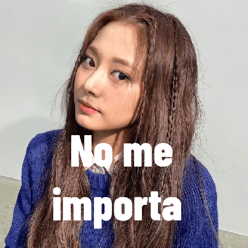 Tzuyu stickers ⋆⁺˖⸙̭❛◌*̥₊ 2
