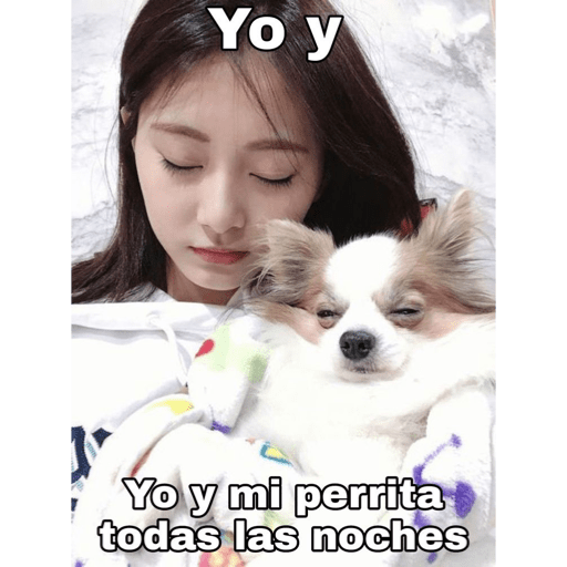 Tzuyu stickers ⋆⁺˖⸙̭❛◌*̥₊ 14