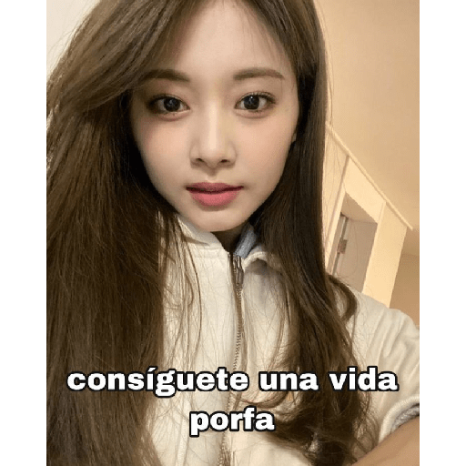 Tzuyu stickers ⋆⁺˖⸙̭❛◌*̥₊ 8