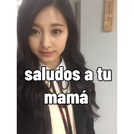 Tzuyu stickers ⋆⁺˖⸙̭❛◌*̥₊ 4