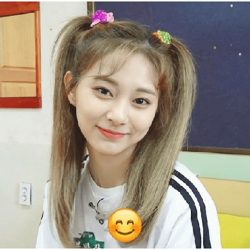 Tzuyu stickers ⋆⁺˖⸙̭❛◌*̥₊ 13