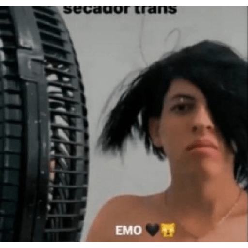 Memes do twitter 19 2