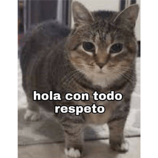 Mira no c 28