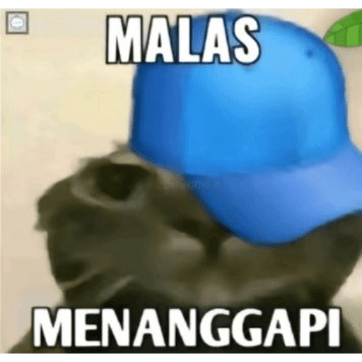 Ziisukakebab 16