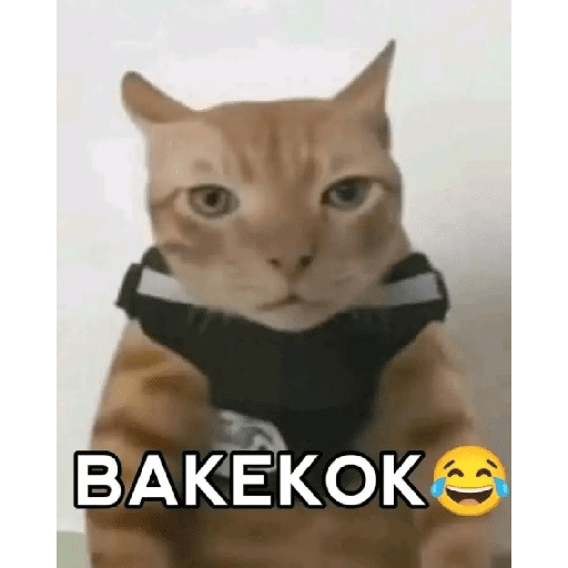 Ziisukakebab