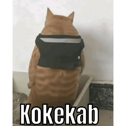 Ziisukakebab 2