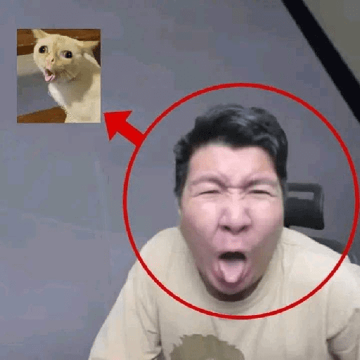 Ziisukakebab 12