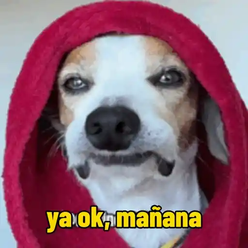 Turbio