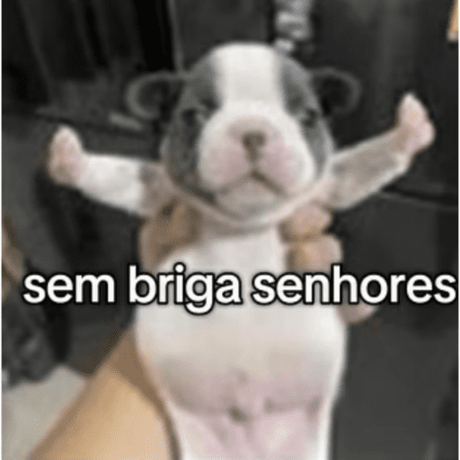 Eu e tu é nos! 29