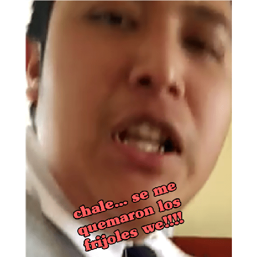 Bts 8