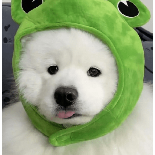 Sticker Image
